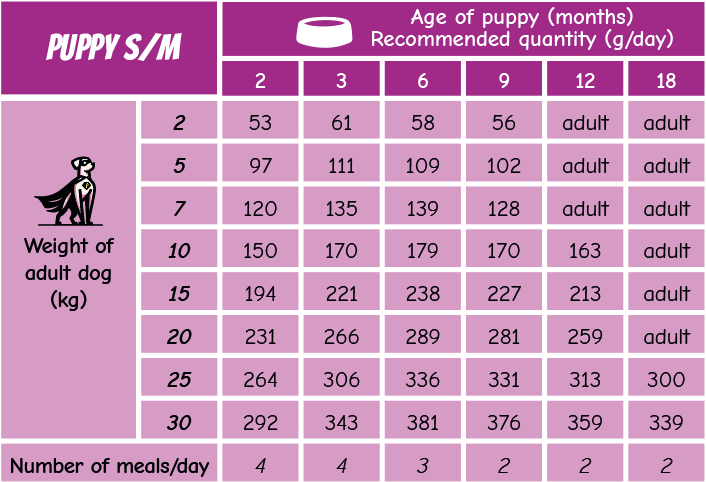 POW! DOG PUPPY S/M PORK – VALPFODER MED GRIS