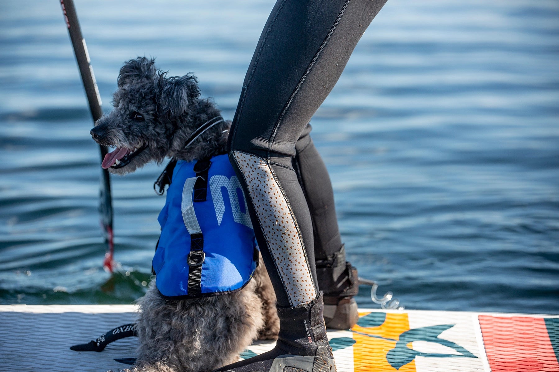 BALTIC SPLASH HUNDFLYTVÄST BLÅ