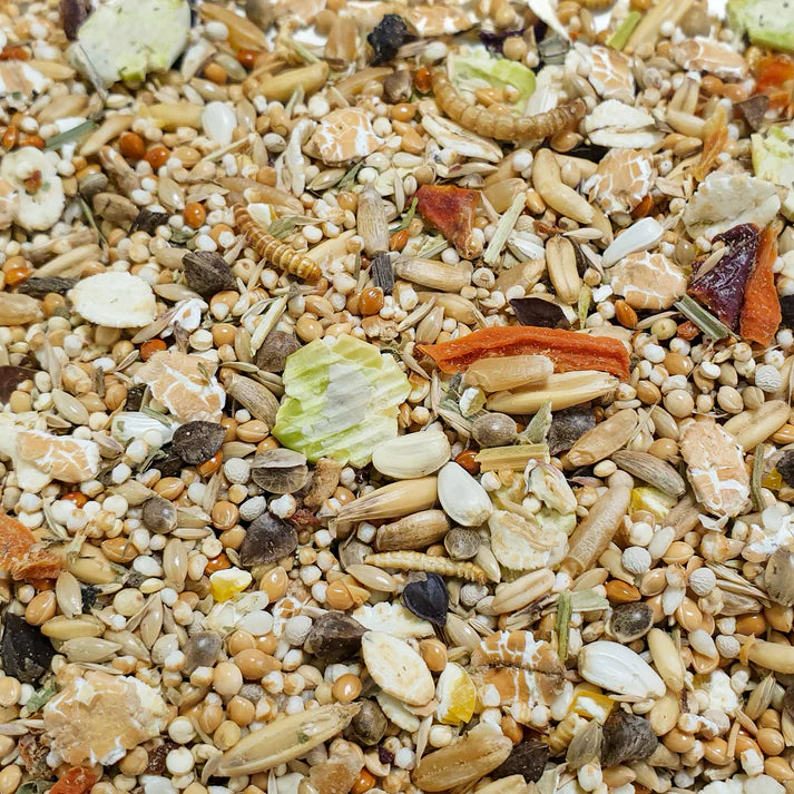 BUNNY NATURE MOUSE DREAM EXPERT 500G