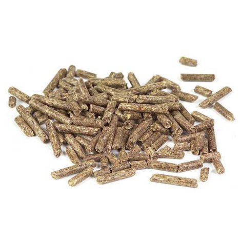 MÄSTERS FODER CHINCHILLAPELLETS 20KG