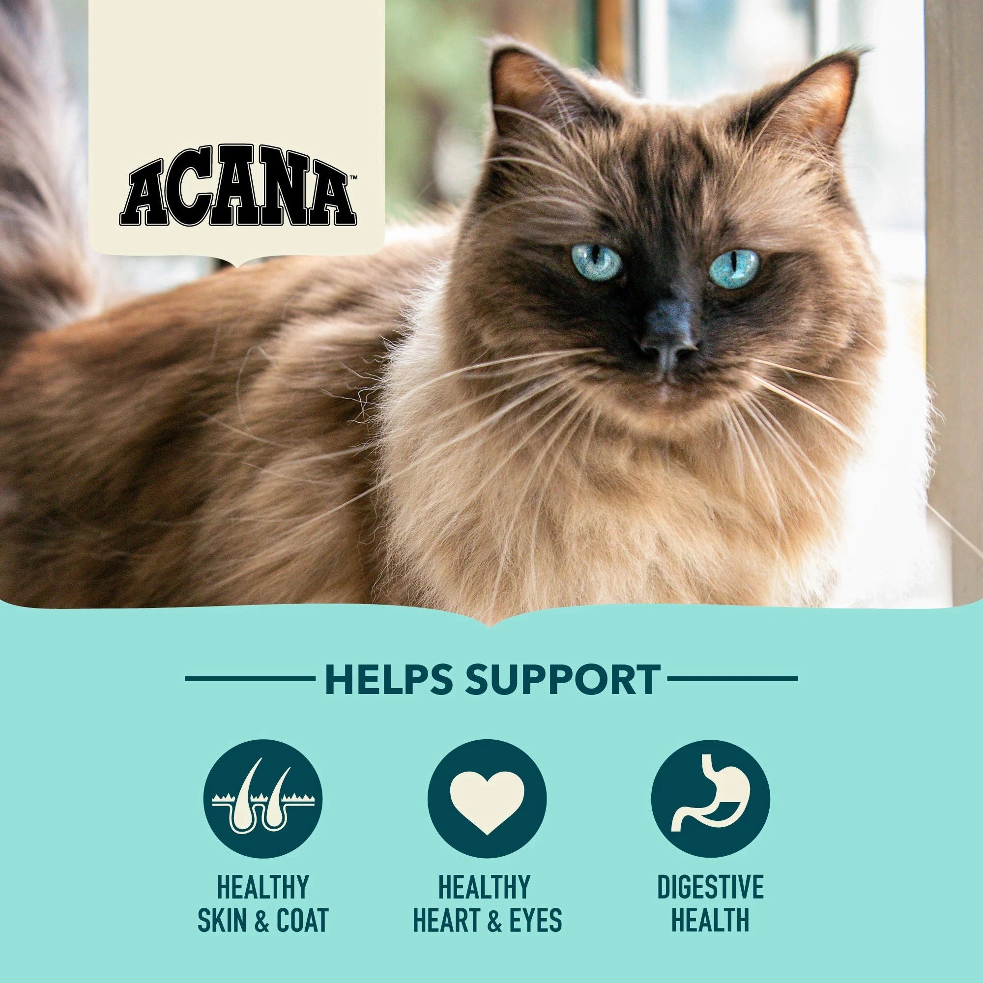 ACANA ADULT BOUNTIFUL CATCH- TORRFODER TILL KATT