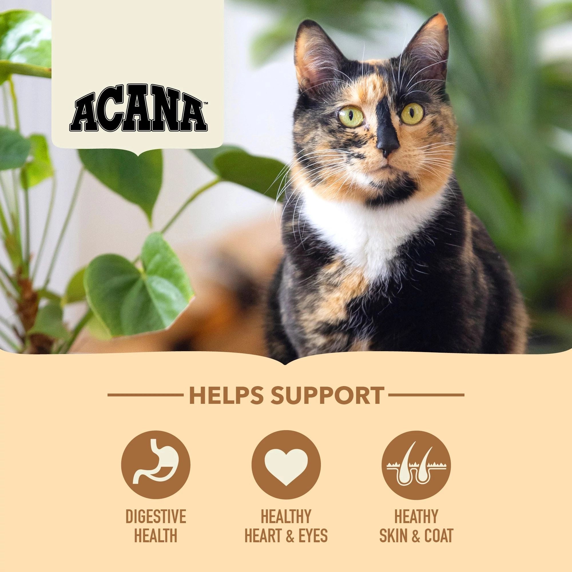 ACANA ADULT HOMESTEAD HARVEST-TORRFODER TILL KATT