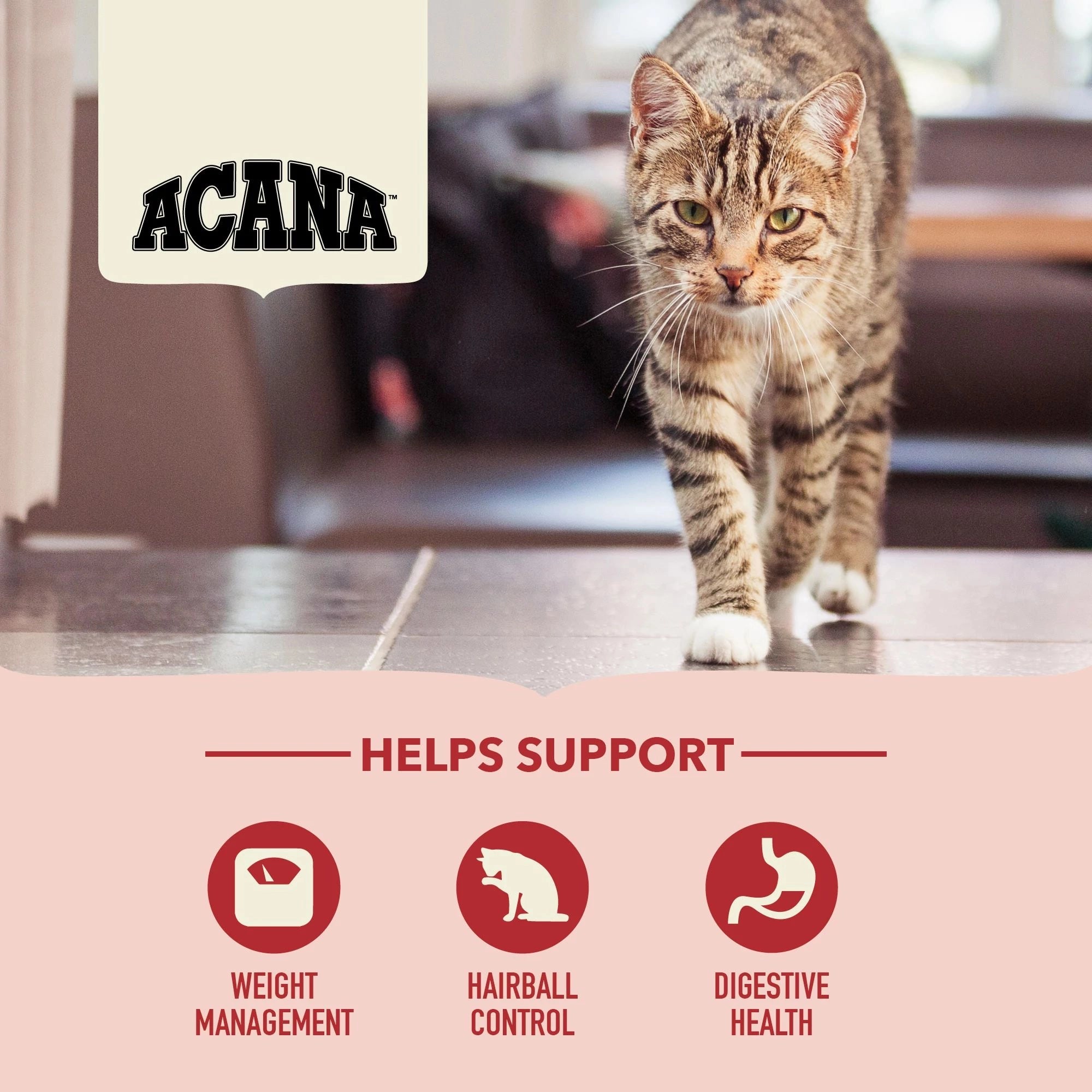 ACANA ADULT INDOOR ENTREE - TORRFODER TILL KATT